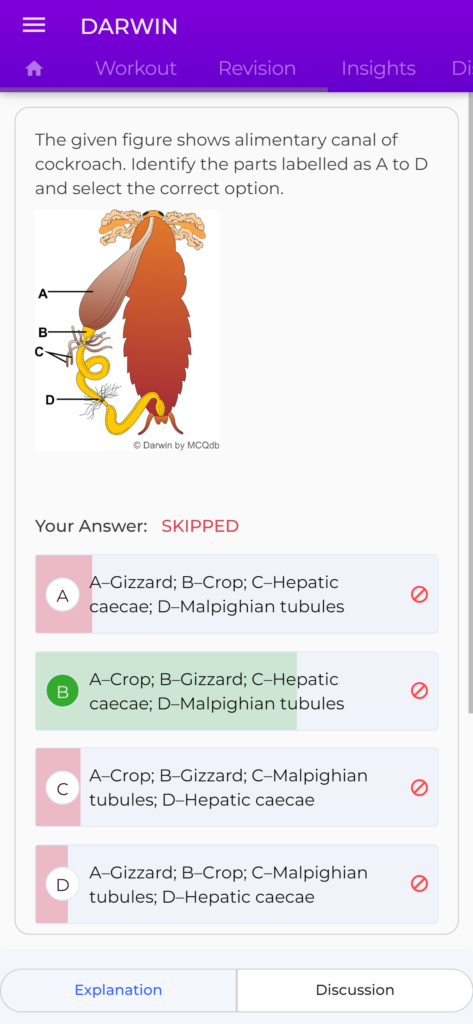 NEET clinical questions