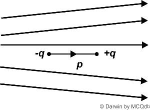 Darwin NEET question