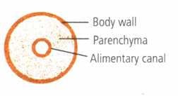 Important questions for NEET Biology