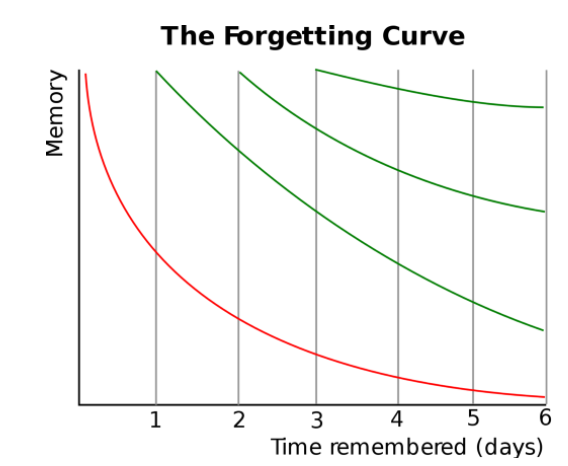 Biology NEET Flashcards forgetting curve